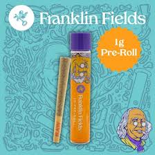 Jilly Glue Preroll | 28pk
