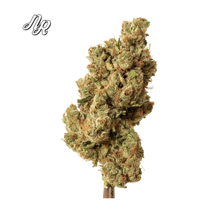 Clementine | Pre-Roll