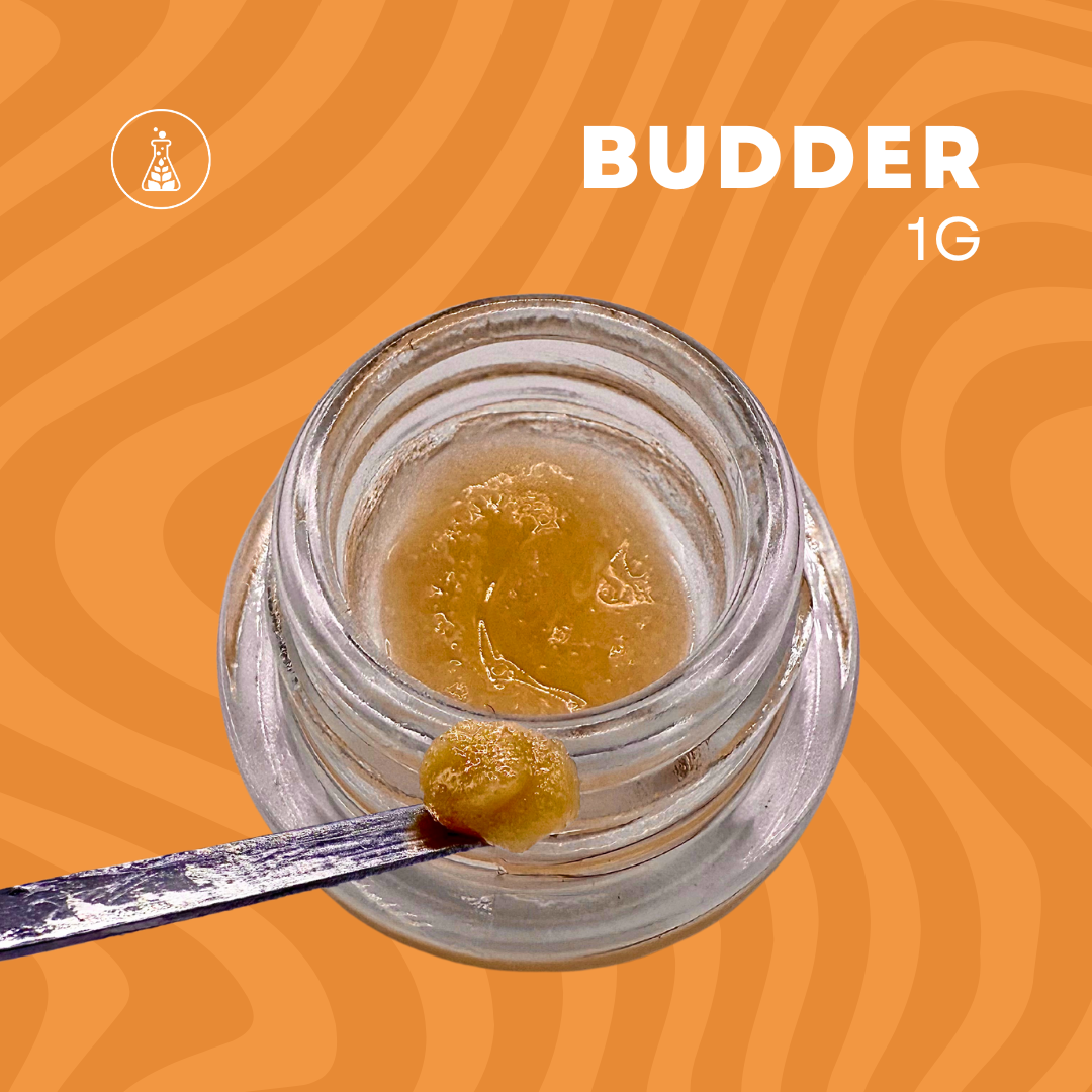 Budder GMO