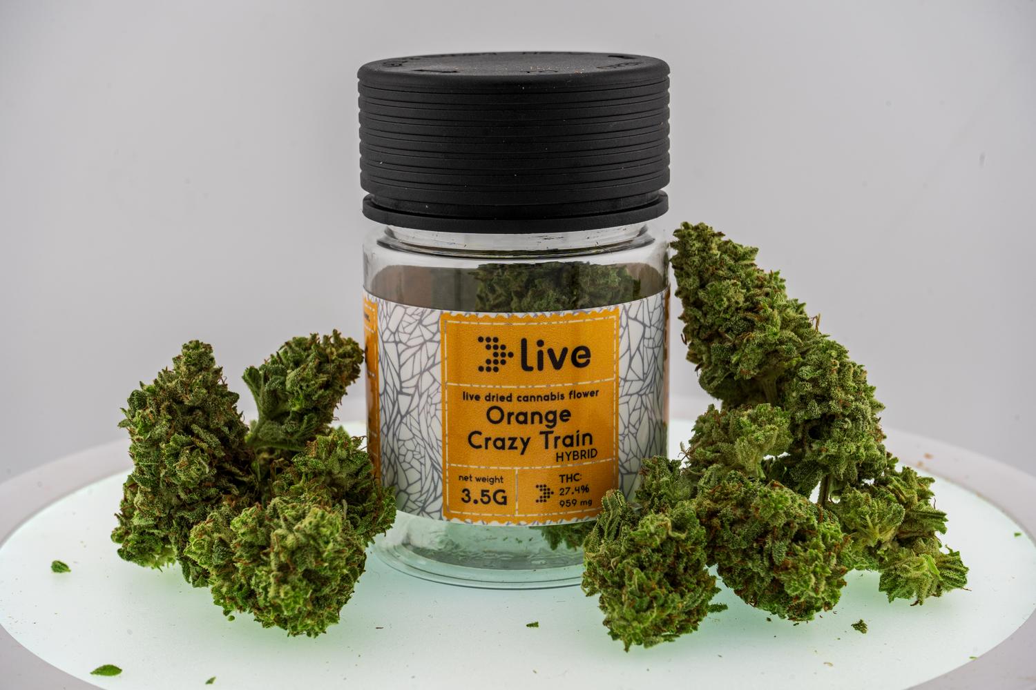 H1 | Orange Crazy Train 3.5g Flower | Live