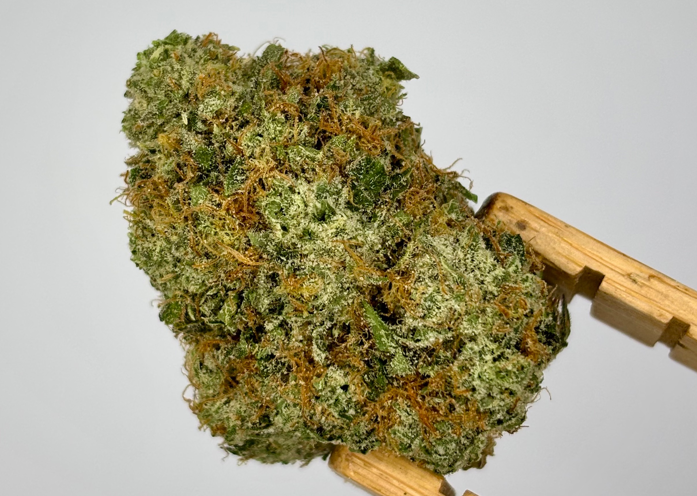 Mitten Canna CO | Dog Beltz | Bulk Flower | Platinum Tier