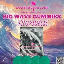 Coastal Roller | 1000mg | Tropidelic | 4pk