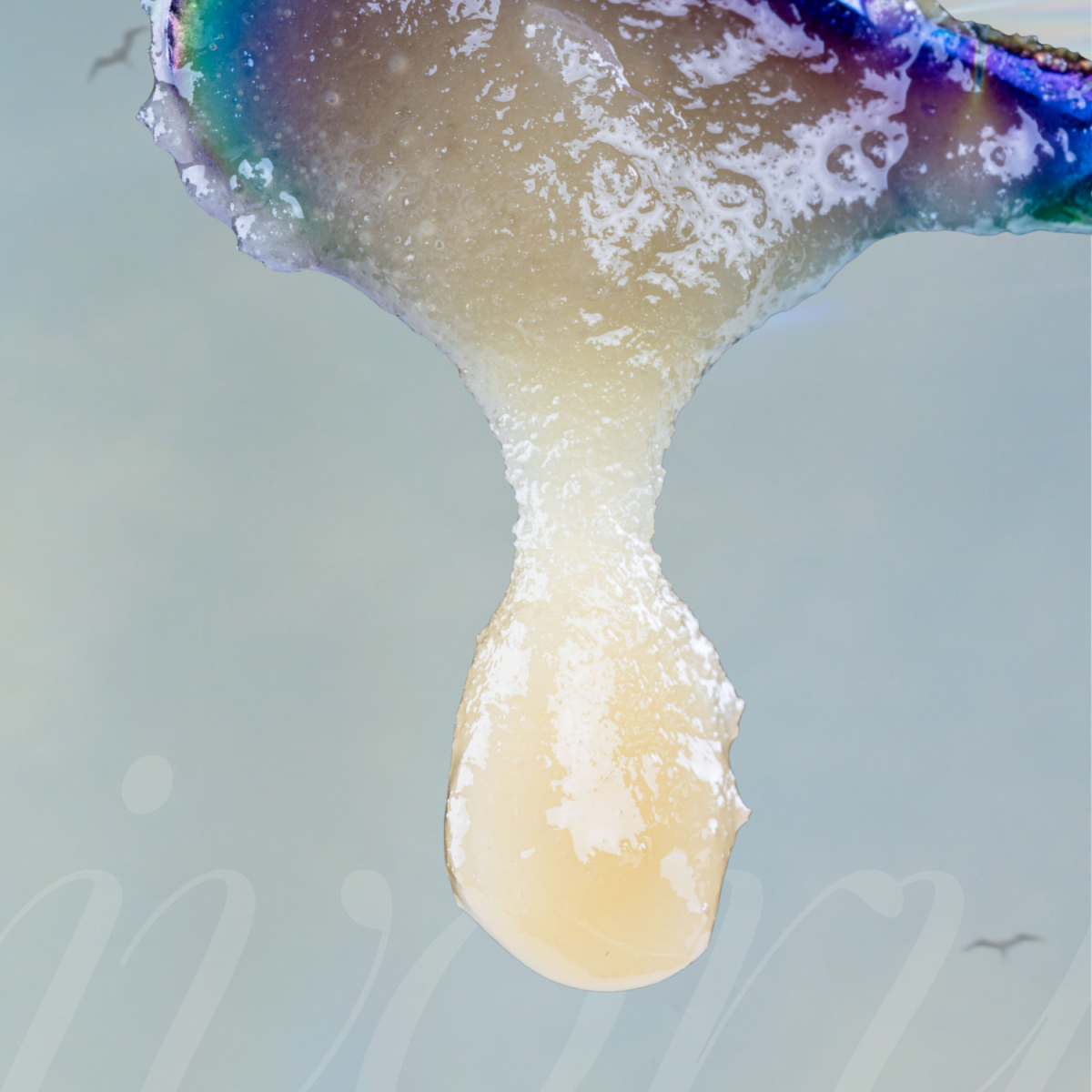 Ivory | Violet Fog Live Resin Jam | 1g