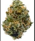Flower - Sticky Fingers (S)