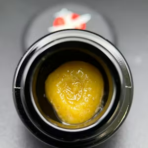 Carbon Fiber | Eclipse X Niche | Cured Resin Badder |