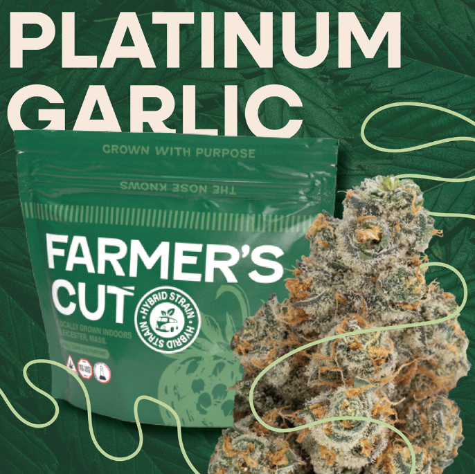 Platinum Garlic - Flower - Farmer's Cut