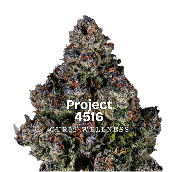 CURIO Project 4516 7g