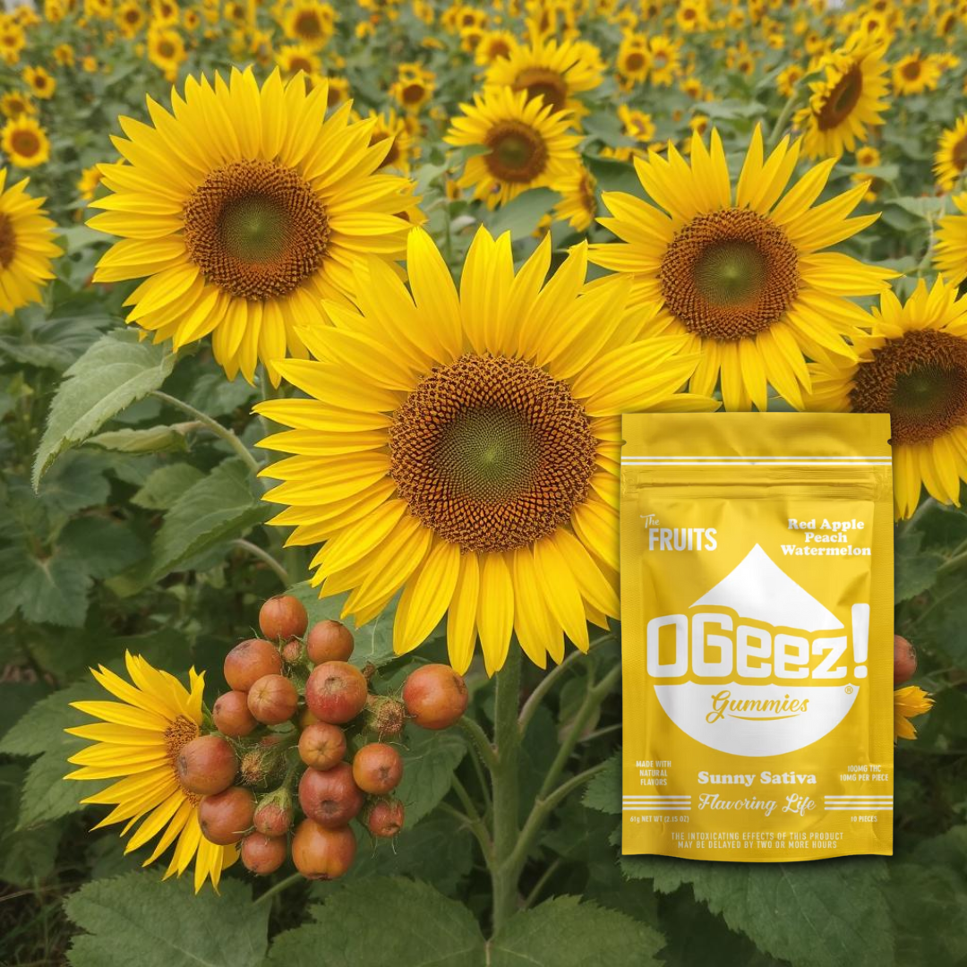 OGeez- The Fruits, Sunny Sativa - 100 mg