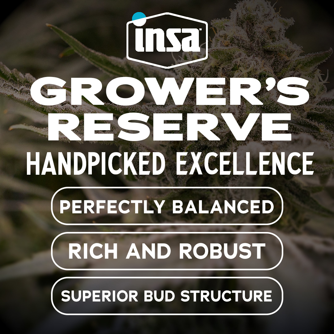Motorbreath #15 Growers Reserve Flower: 3.5g