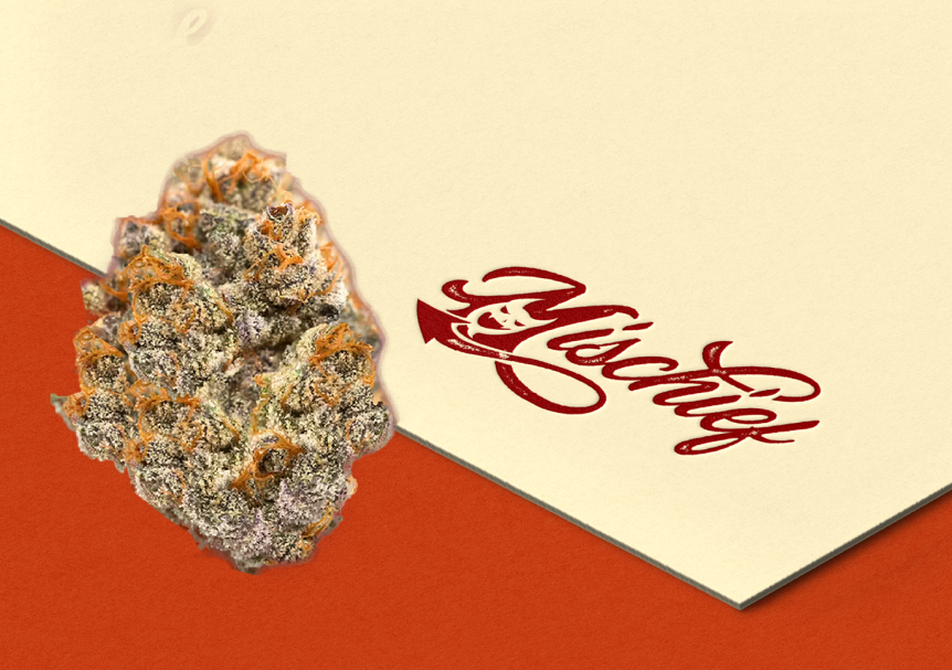 Blu Magik Flower Bulk