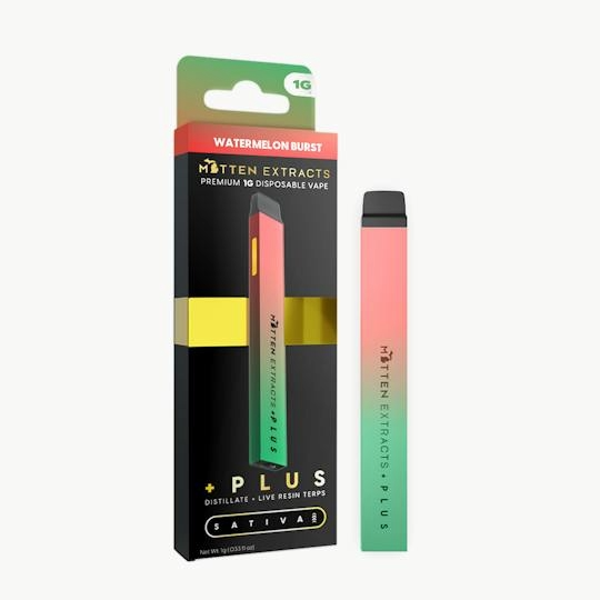 Watermelon Burst +PLUS Disposable | 1g