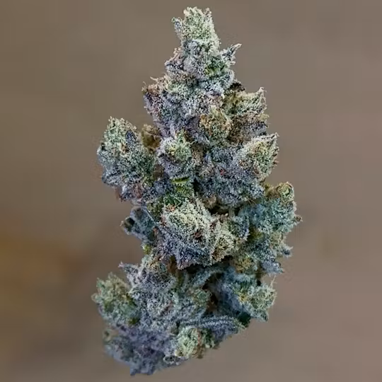 Kronuts | Eighths