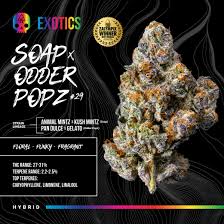 BOSKY Flower Zoap x Odder Popz #29 Smalls