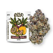 Diamond Flyers Paradise Pomelo