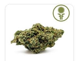 Lemon Fresh Flower: 7g