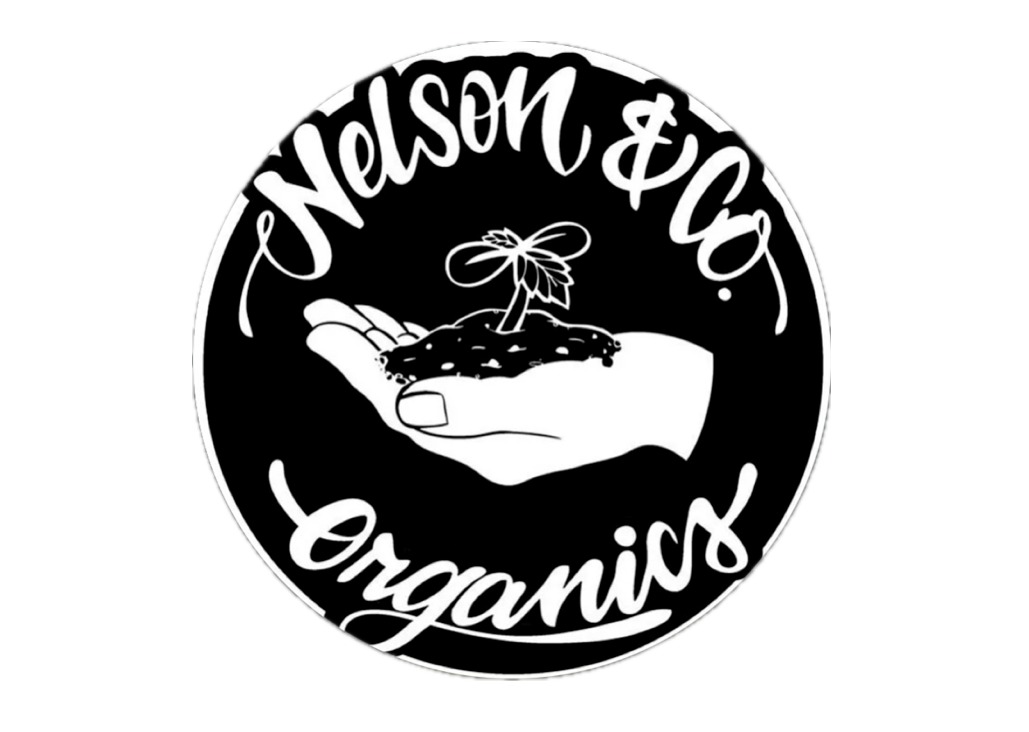 Nelson Death Coast