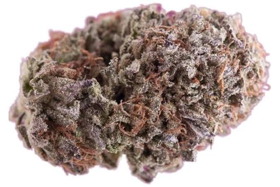CD MERAKI | Grape Expectations  ($40Q)