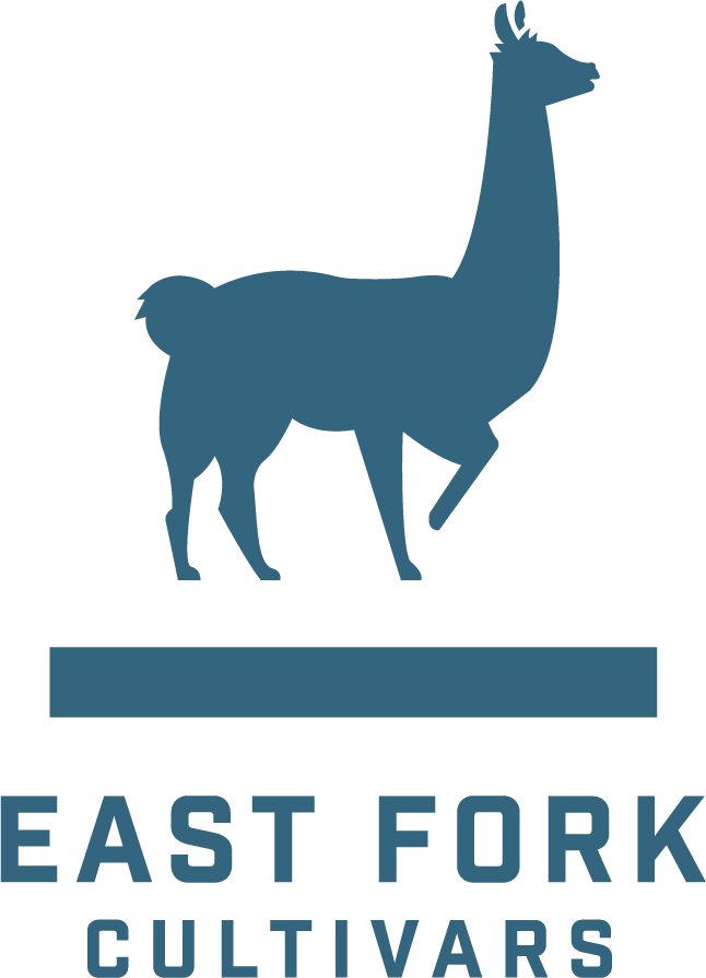 Pineapple Kush Relax Preroll 7pk