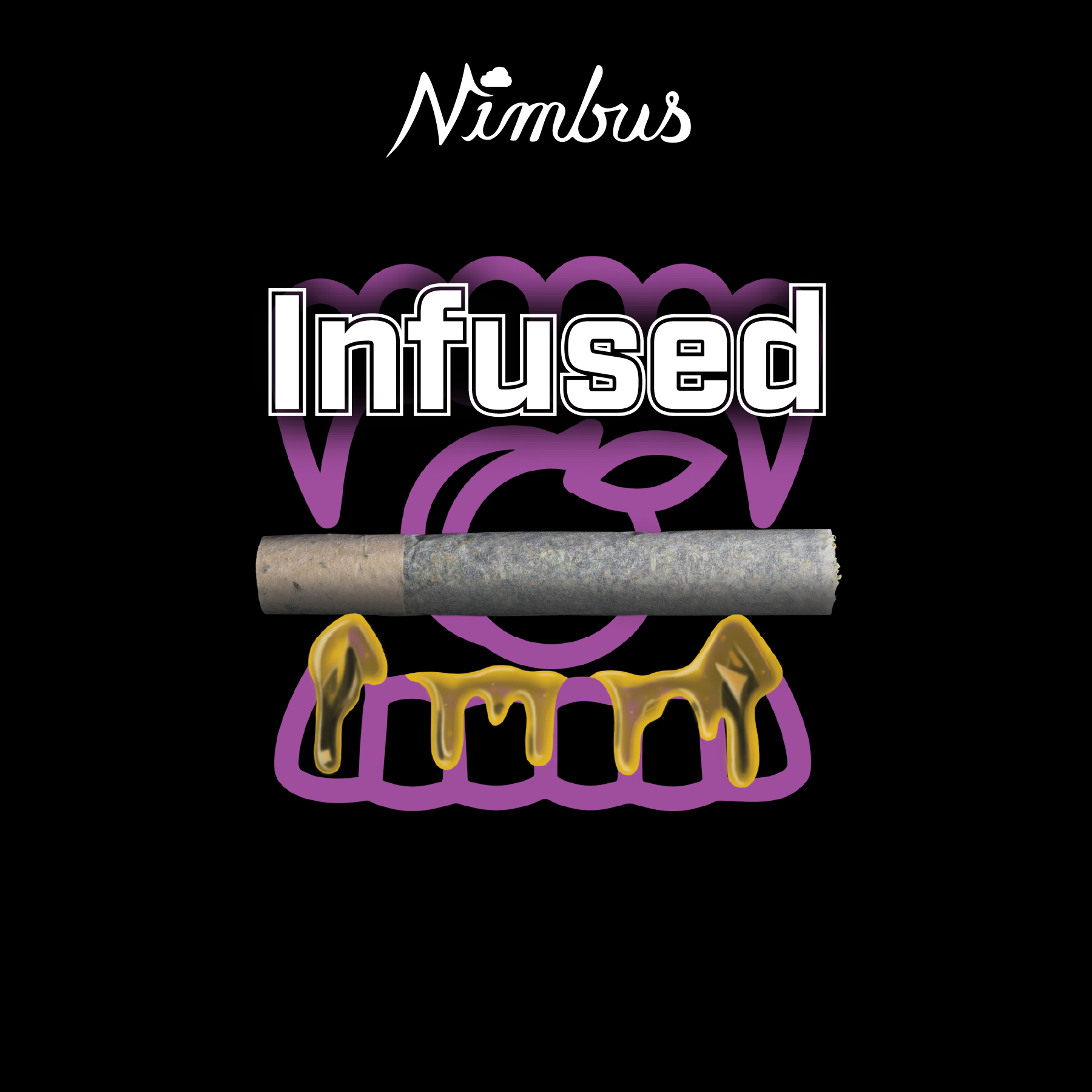 1g Preroll - Beast Coast Berry (1-Pack) - Nimbus Lit Cannons