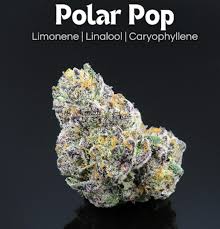 Polar Pop