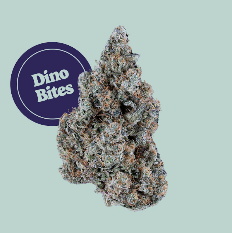 Dino Bites | Flower | 3.5g
