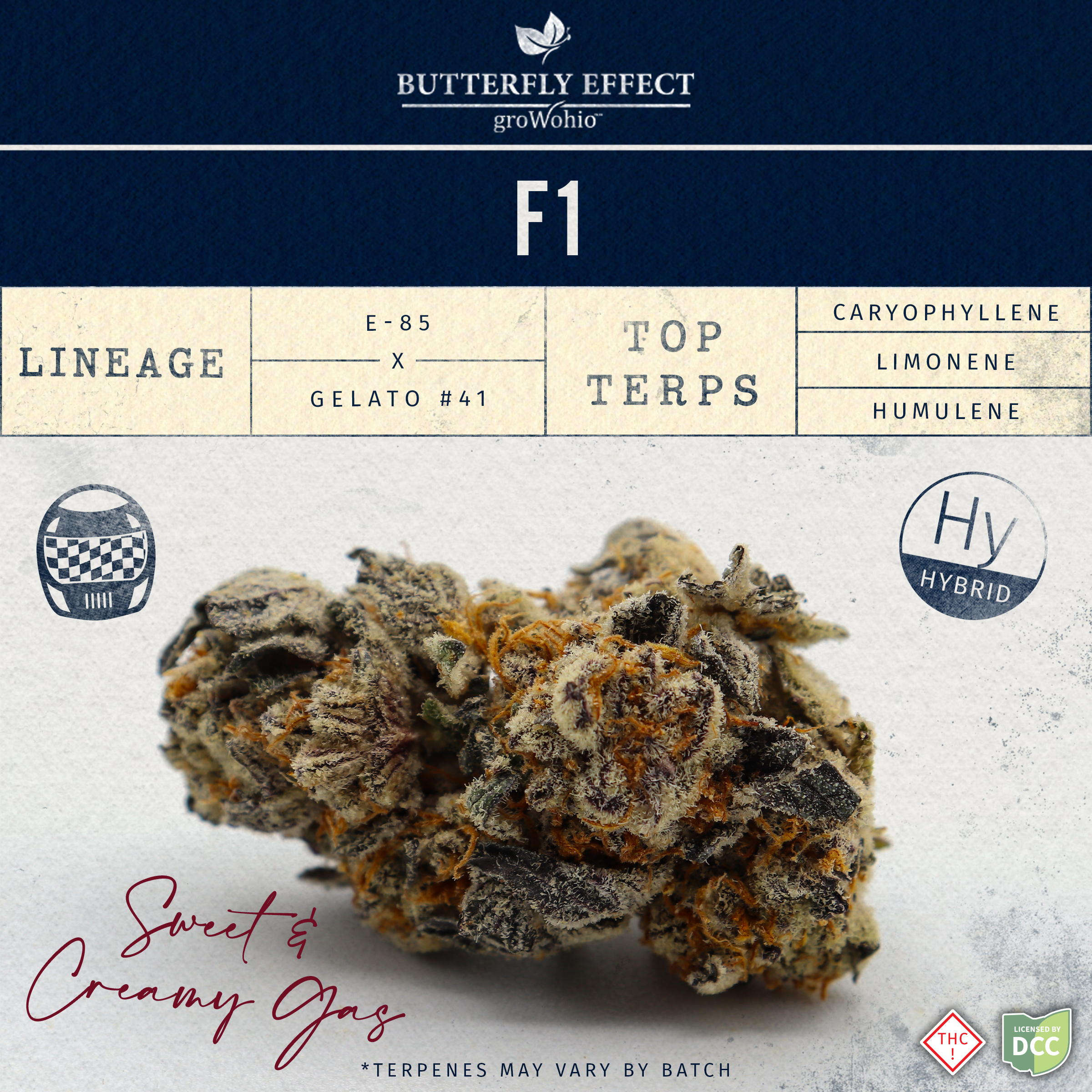 Grow Ohio | F1 (Buds) 3.5g | Hybrid