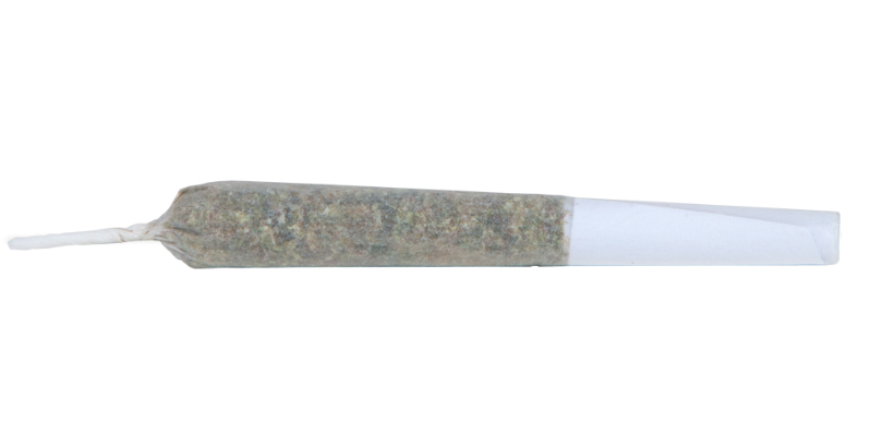 Jack Haze Pre-Roll 2-pack | 1g