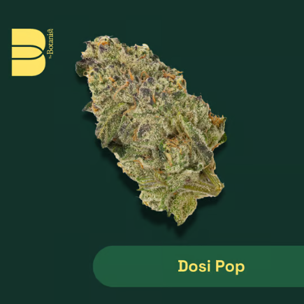 Igf Dosi Pop