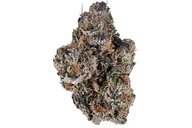 Essence - PCG Runtz - Flower