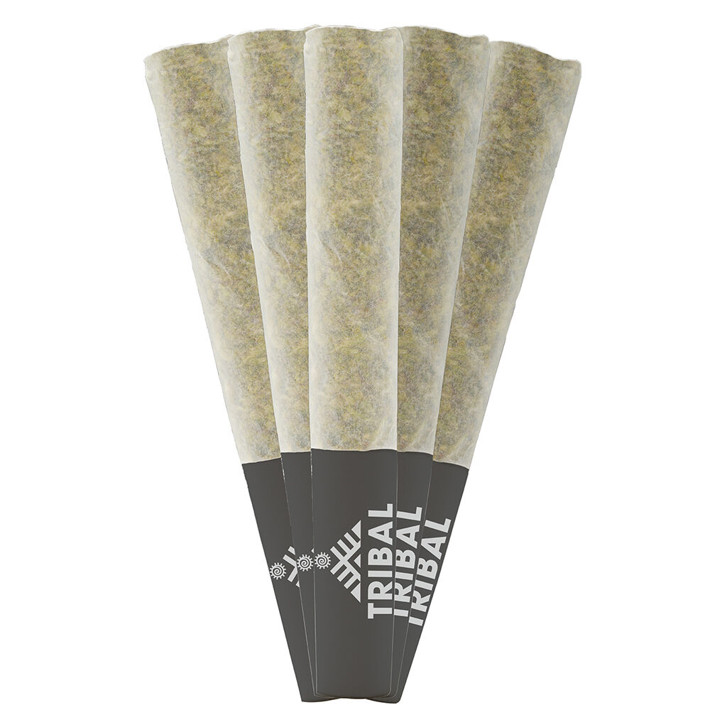 Tribal - Porto Leche Pre-Roll - Hybrid - 5x0.5g - 2% Terps!!