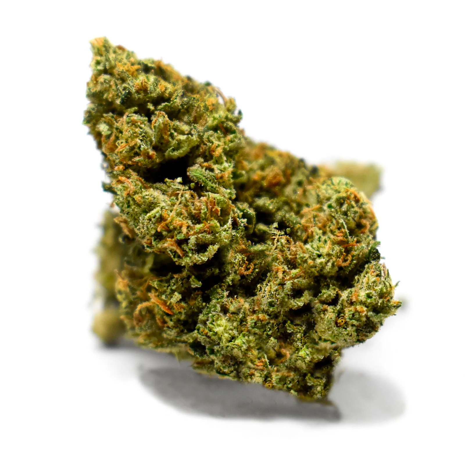 Gud Gardens: Blue Dream