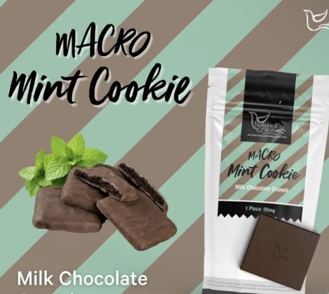 Mint Cookie Milk Chocolate Crunch Square | 100mg