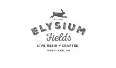 DOLE WHIP Preroll 2pk | 1g