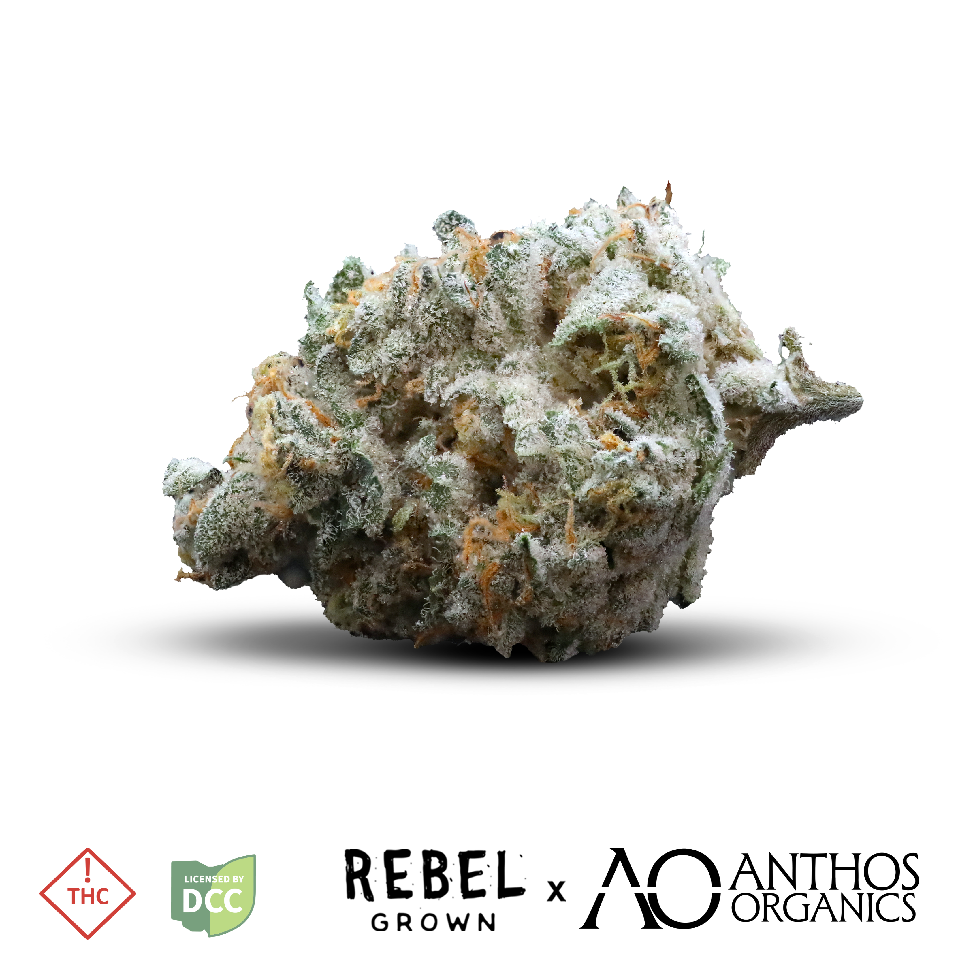 Rebel X Anthos Premium Rebel Cookies