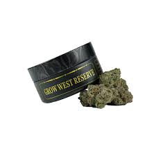Wild Electric Berry Bliss