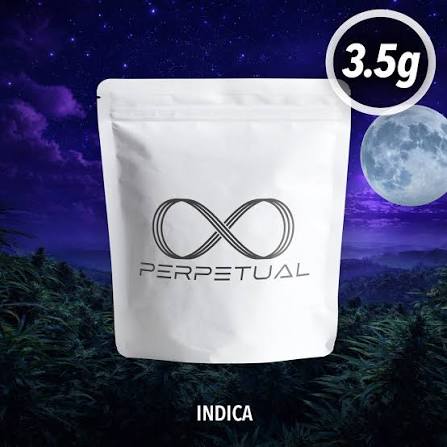 Perpetual - Sherb BX - Flower - 3.5g