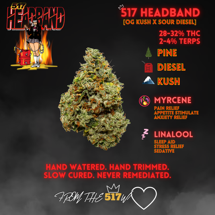 Headband Hand Roll