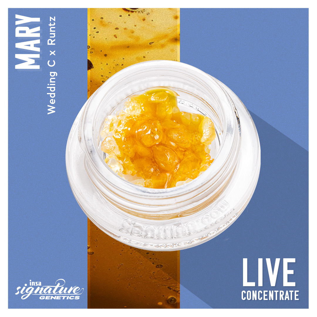 Mary Live Diamonds in Sauce