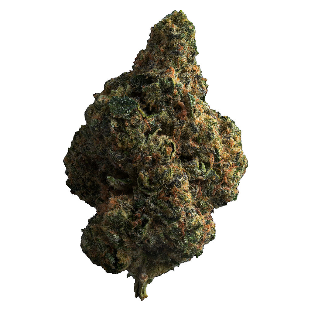 The Loud Plug - Tropicana Cookies - 14g