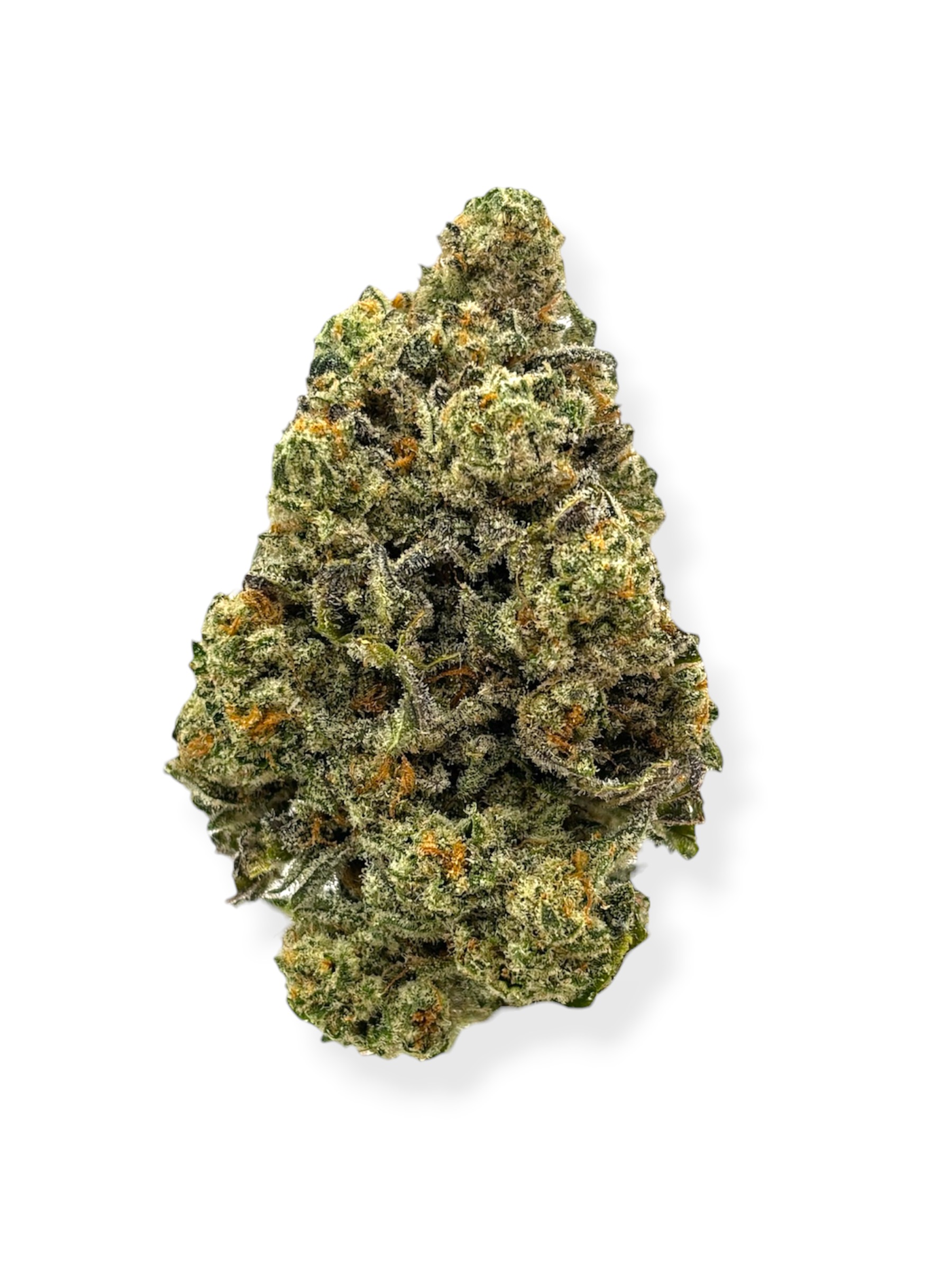 Lion Order - King Clementine x The Reaper