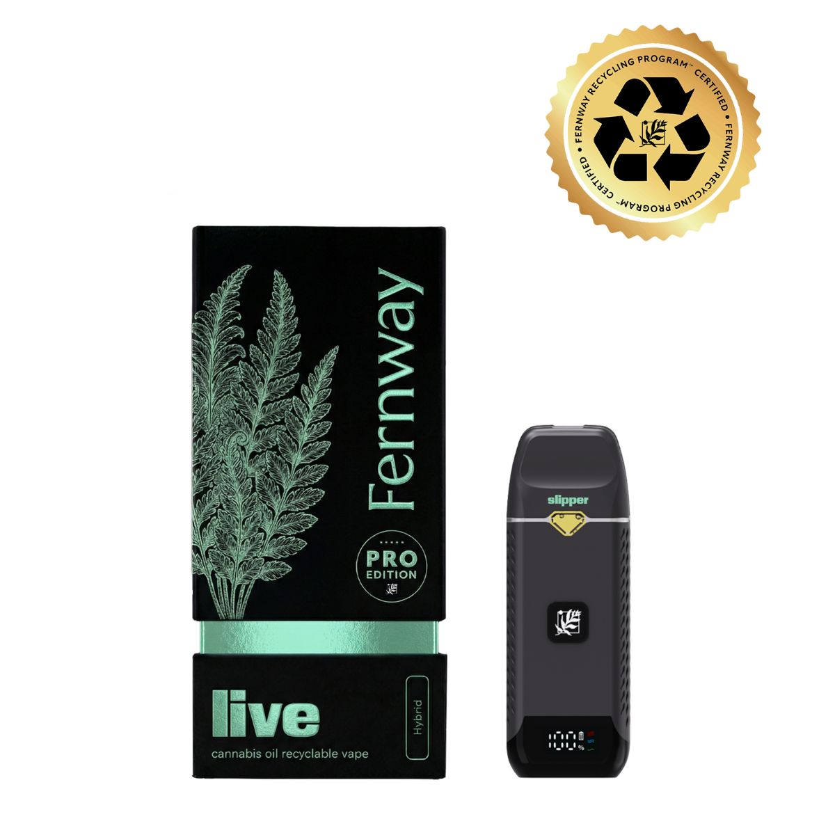 Fernway | Glass Slippers Live Resin Disposable | 1g