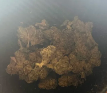 Green Grow Apples And Bananas Gold