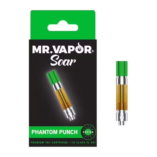 Mr. Vapor | 1g 510 Vape Cart | Phantom Punch