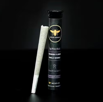 Wojo - Orange Cake - 1g Infused PR