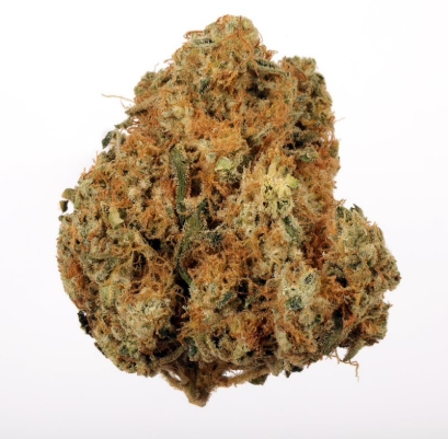 Seed And Smith | Flower | Orange Cookies Chem | S