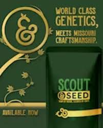 SCOUT & SEED PRE-PACK POPCORN MEAT BREATH #11 (H) 14G