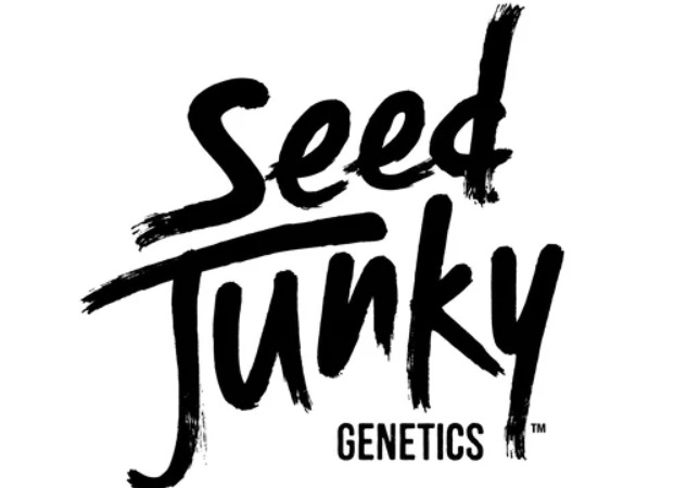 Seed Junky - Bubble Hash Pre-roll 0.6g - 5pk - Chrome Kush