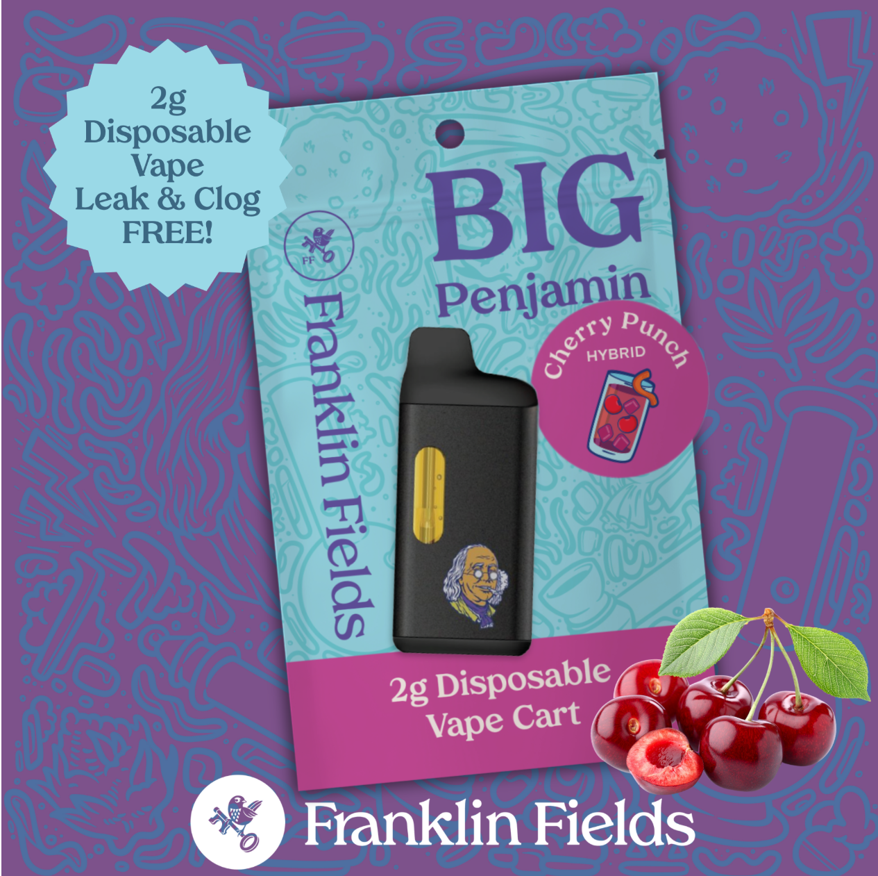 FRANKLIN FIELDS PENJAMIN | 2G DISPOSABLE | CHERRY PUNCH