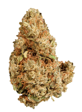 Purple Afghani | 7G