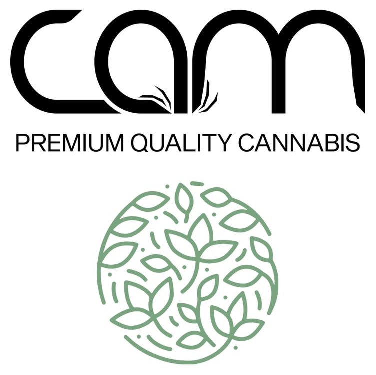 CAM Bubba's Girl  0.7G 5PK Prerolls